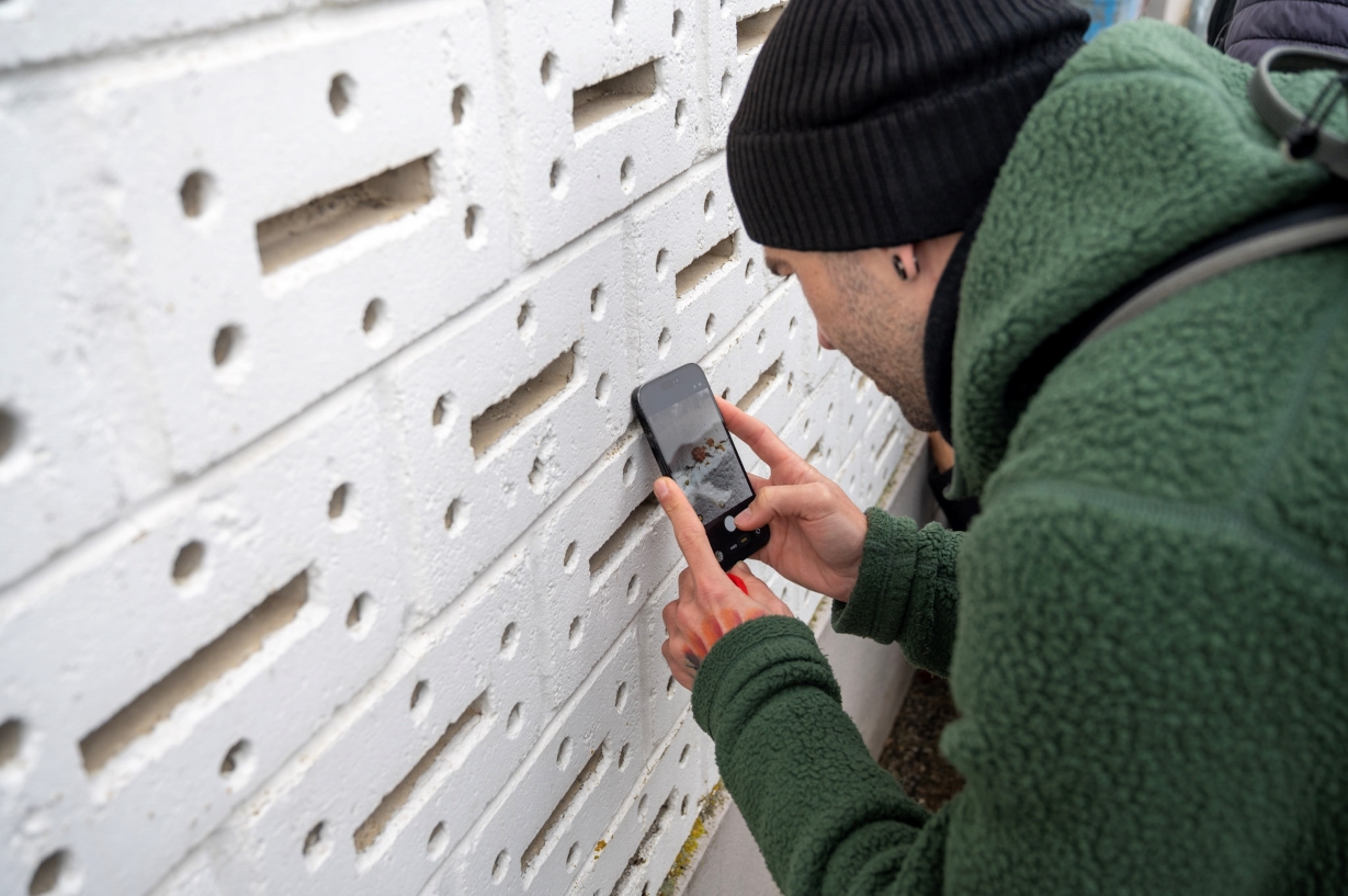 Mann dokumentiert eine Insektenart über iNaturalist als Beitrag zu Citizen Science, damit wir gemeinsam forschen, verstehen und schützen können.