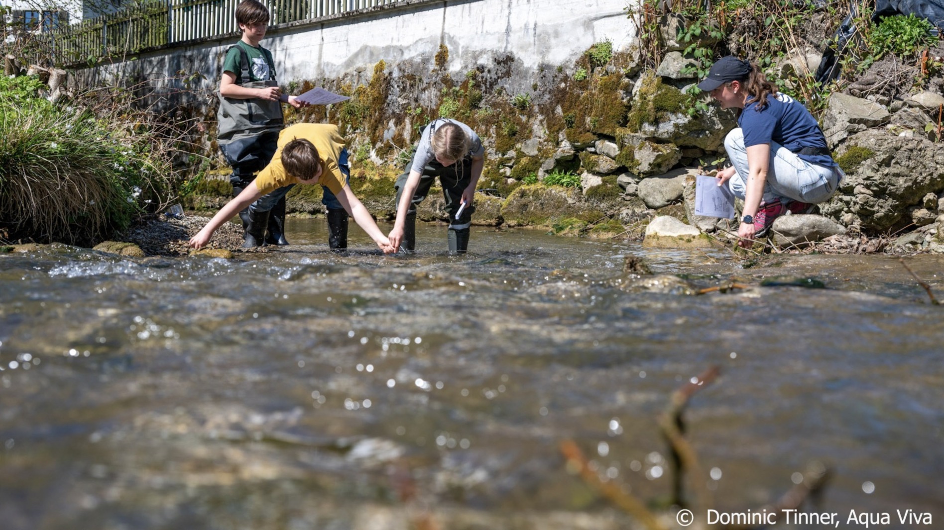 Ihr Geldfluss, wenn Sie für Gewässerschutz spenden, sorgt für lebendige Gewässer: Wie hier Kinder im Bach Gewässerlebewesen erforschen.