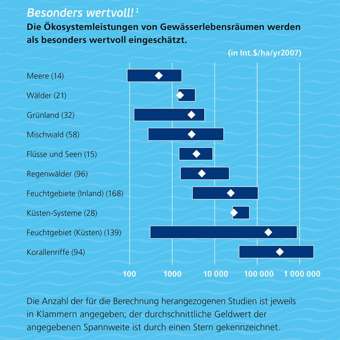Graphik Pflanzliche Vielfalt von Gletschervorfeldern mit verschiedenen Pflanzengesellschaften