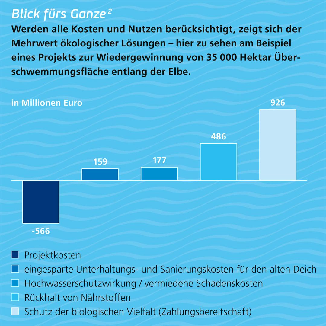 Graphik Dynamische Gletschervorfeler, Artenzahl in Abhängigkeit von Jahre Eisfreiheit