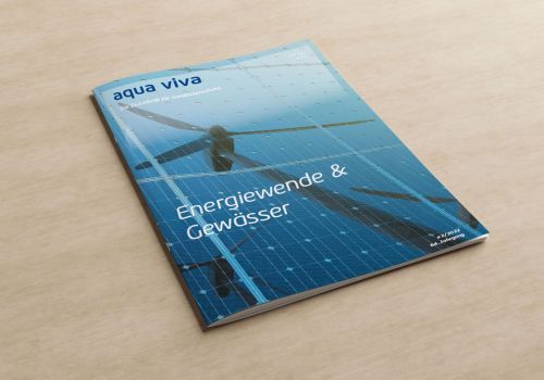Energiewende & Gewässer (2/2022)