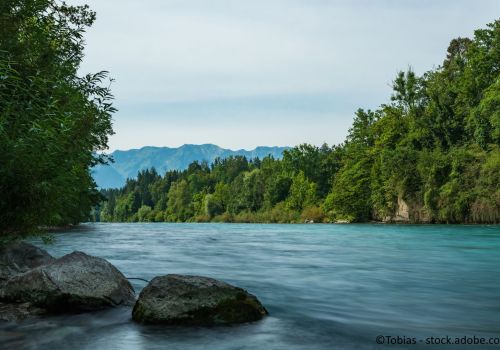 Jubiläumsausgabe (2/2020)