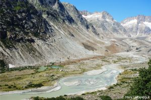 Vielseitiges Mosaik an Lebensräumen mit Fluss, Gesteinen, Vegeation im Vorfeld des Unteraargletschers