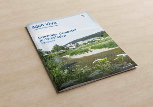 Lebendige Gewässer in Gemeinden (4/2023)