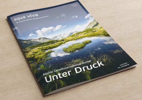 Alpine Gewässerlebensräume unter Druck (4/2021)