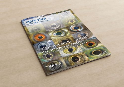 Die erstaunliche Vielfalt der Schweizer Fische (1/2024)
