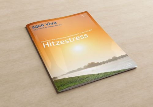 Hitzestress (2/2023)