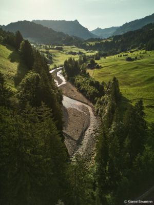 Luftaufnahme der Emme umgeben von Wald, Wiesen und Bergen