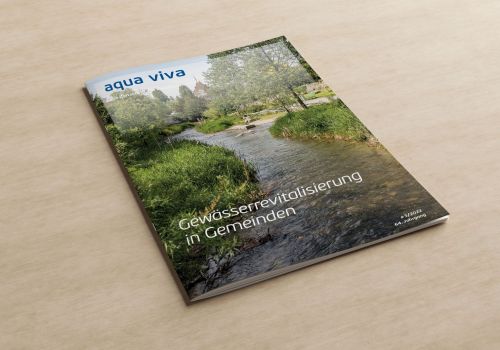 Gewässerrevitalisierung in Gemeinden (3/2022)