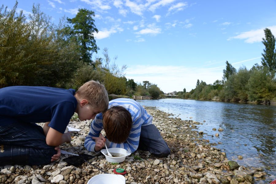 Zwei Jungs sitzen im Kies neben einem Fluss und schauen in einer Schale nach kleinen Tieren.