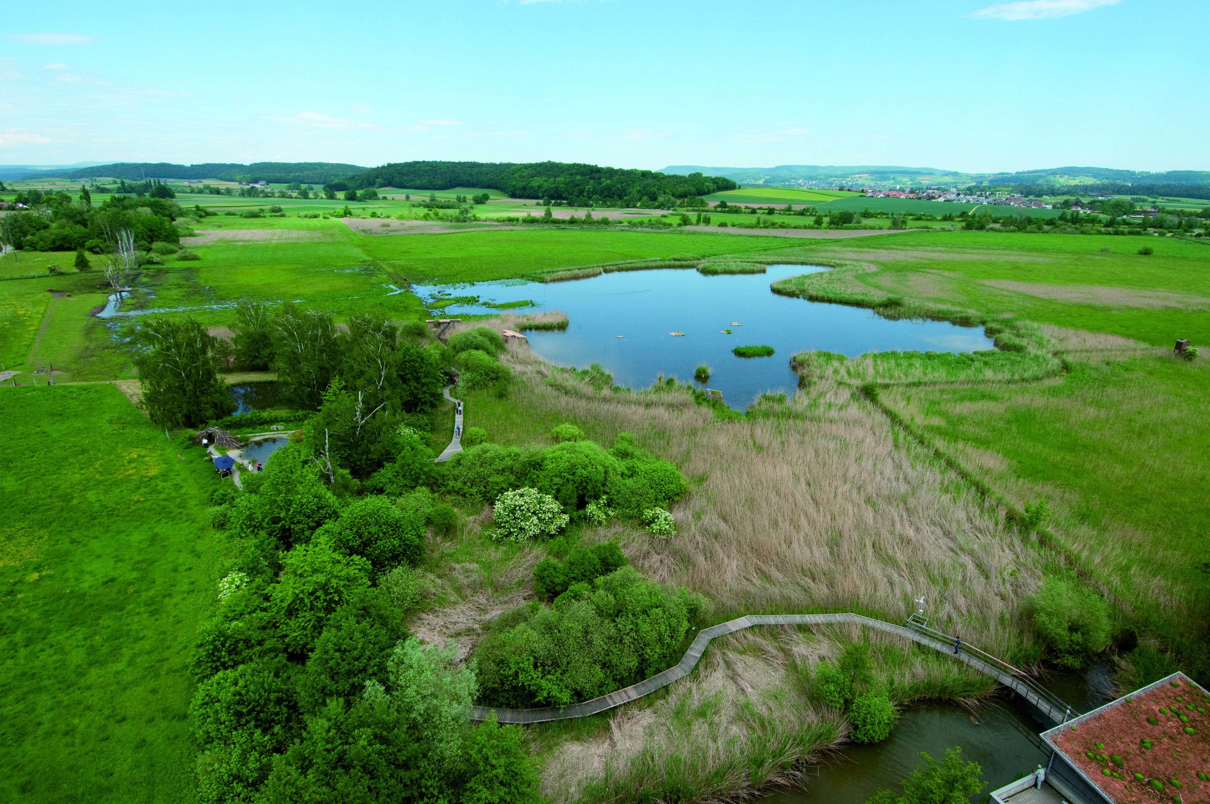 Luftaufnahme des Neeracherrieds mit Naturschutzzentrum, Moorfläche, See, Weihern und Steg durch das Gebiet