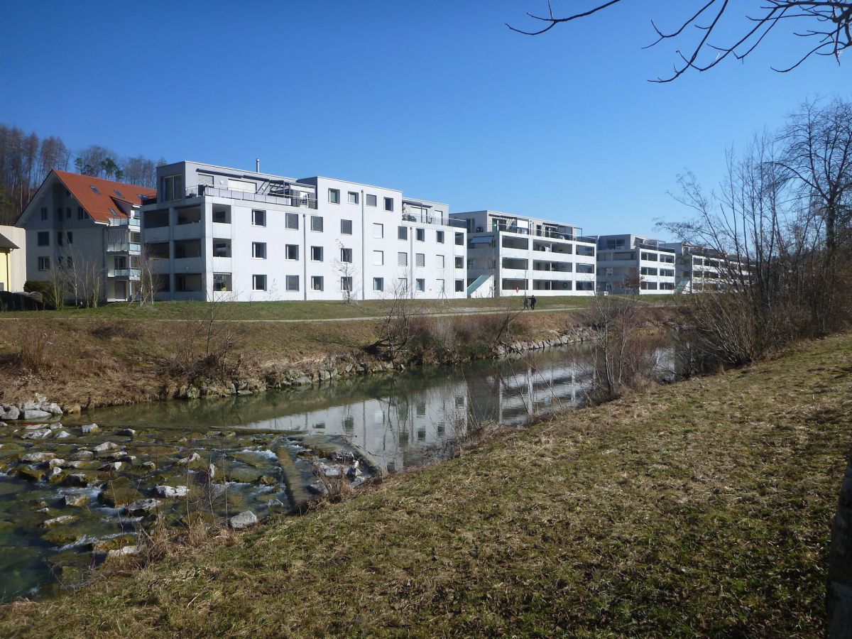 Eine Karte der Schweiz mit Felchen-Bildern um die Karte herum und Pfeilen auf die Seen, in denen sie leben.